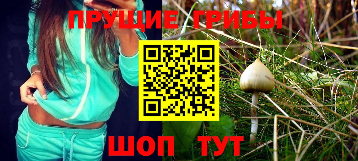 Псилоцибиновые грибы Psilocybine cubensis  Вход с VPN  Семилуки 