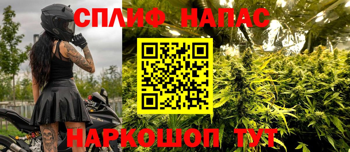 Конопля ГИДРОПОН  Канабис VHQ  Вход с VPN  Марихуана марихуана  Семилуки 